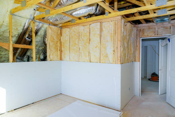 Best Insulation Contractor Near Me  in Reeds Spring, MO