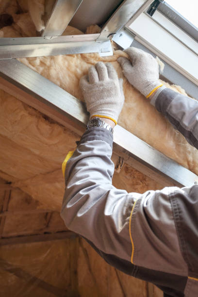 Best Attic Insulation Installation  in Reeds Spring, MO