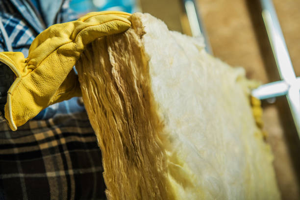 Best Best Insulation Companies  in Reeds Spring, MO