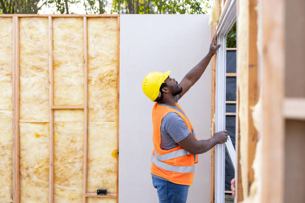 Best Cellulose Insulation  in Reeds Spring, MO