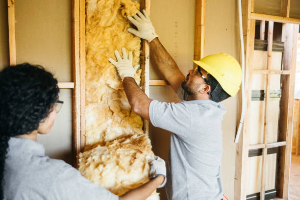 Best Insulation for New Construction  in Reeds Spring, MO