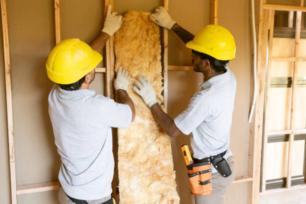 Best Affordable Insulation Services  in Reeds Spring, MO