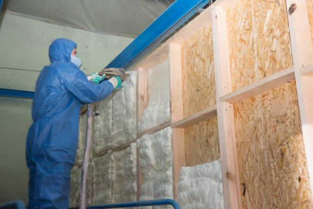 Insulation Repair Services in Reeds Spring, MO