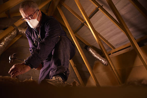Best Spray Foam Insulation  in Reeds Spring, MO